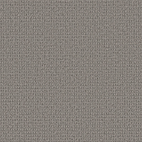 FETCH - Monument 00556