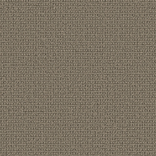 FETCH - Desert Palm 00717