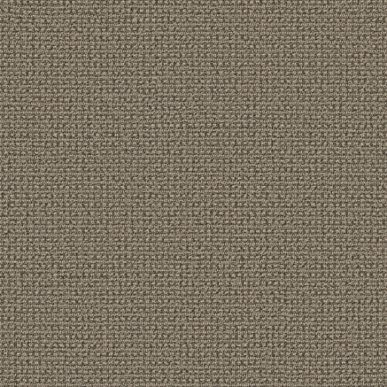 FETCH - Desert Palm 00717