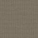 FETCH - Desert Palm 00717