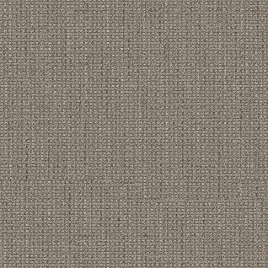 FETCH - Stampede 00753