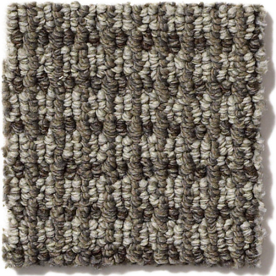 ABBEY'S ROAD - Stylish Gray 00573