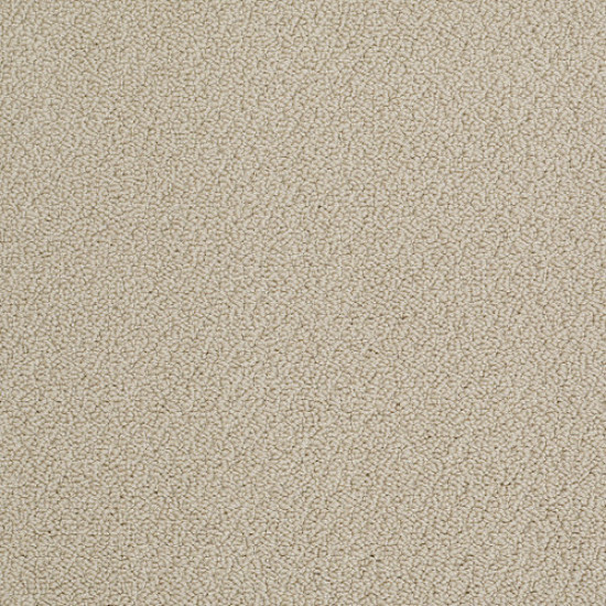 ON POINT - Sandpiper 00212 ON POINT - Sandpiper 00212