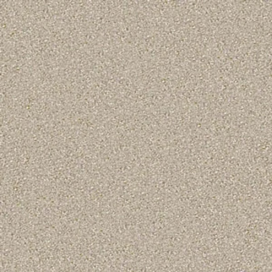 ON POINT - Sandpiper 00212 ON POINT - Sandpiper 00212