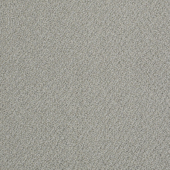 ON POINT - Driftwood 00513 ON POINT - Driftwood 00513