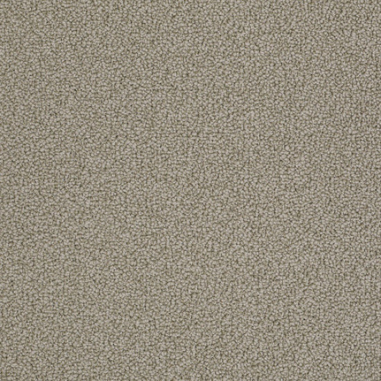 ON POINT - Taupestone 00754 ON POINT - Taupestone 00754