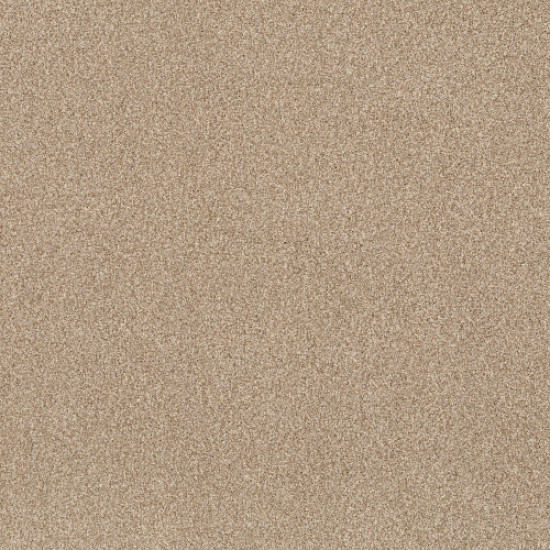 TERRA NOVA - Reed 00224