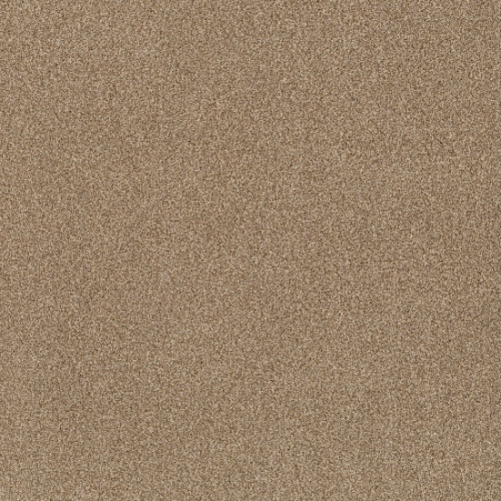 TERRA NOVA - Hazel 00226
