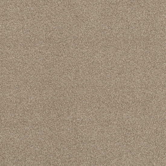 TERRA NOVA - Canvas 00233