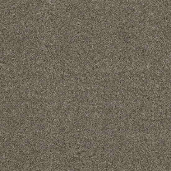 TERRA NOVA - Arrowhead 00536