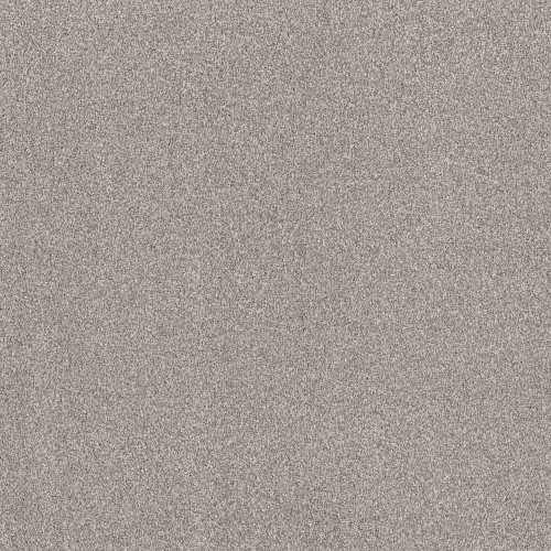 TERRA NOVA - Platinum 00552