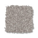 TERRA NOVA - Platinum 00552