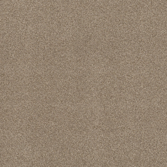 TERRA NOVA - Landscape 00734