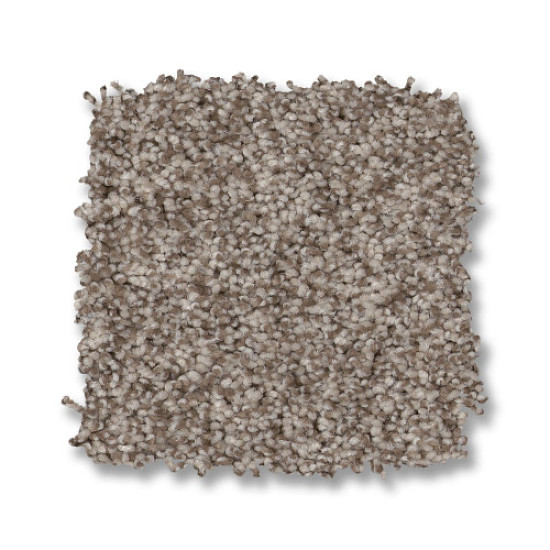 TERRA NOVA - Pashmina 00754 TERRA NOVA - Pashmina 00754