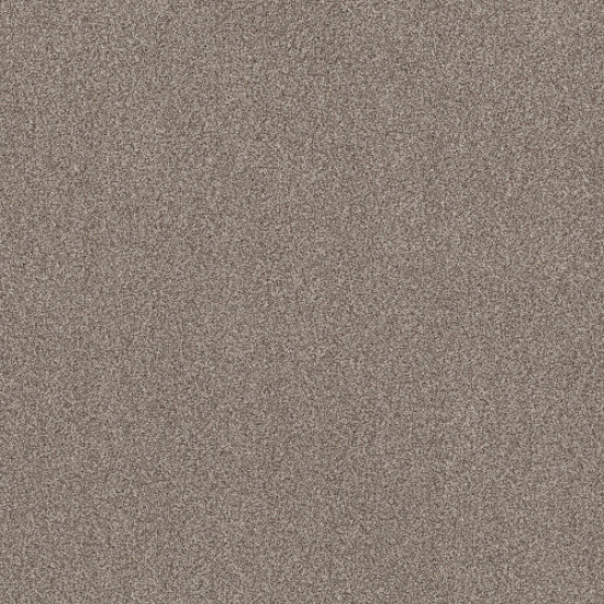 TERRA NOVA - Pashmina 00754 TERRA NOVA - Pashmina 00754
