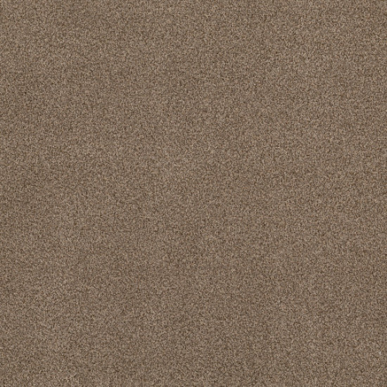 TERRA NOVA - Ranch 00765