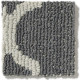 TAZA II - Carbon 00518 TAZA II - Carbon 00518