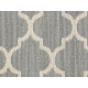 TAZA II - Sunlit Silver 00523