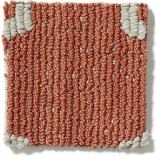 TAZA II - Sizzle 00654