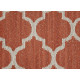 TAZA II - Sizzle 00654 TAZA II - Sizzle 00654