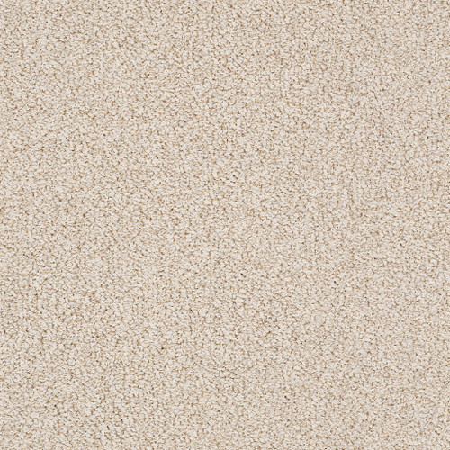 BALI - Birch 00162