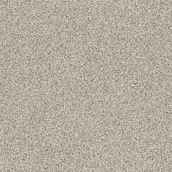BALI - Crushed Shell 00712 BALI - Crushed Shell 00712
