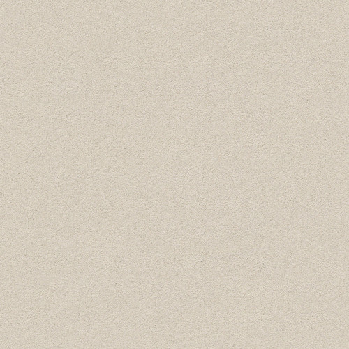 PERFECT CHOICE - Misty Dawn 00151