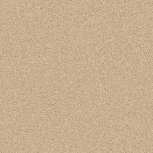 PERFECT CHOICE - Sugar Cookie 00173