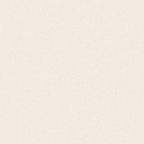 PERFECT CHOICE - French White 00221