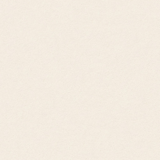 PERFECT CHOICE - French White 00221 PERFECT CHOICE - French White 00221