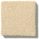 PERFECT CHOICE - Golden 00224 PERFECT CHOICE - Golden 00224