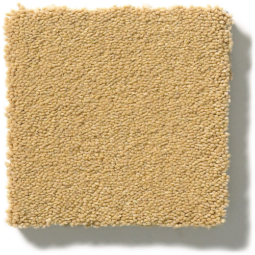 PERFECT CHOICE - Tawny Bisque 00225