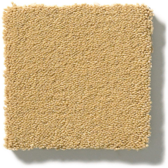 PERFECT CHOICE - Tawny Bisque 00225 PERFECT CHOICE - Tawny Bisque 00225