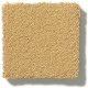 PERFECT CHOICE - Tawny Bisque 00225 PERFECT CHOICE - Tawny Bisque 00225