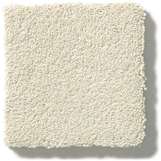 PERFECT CHOICE - Sprig 00351 PERFECT CHOICE - Sprig 00351