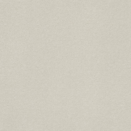 PERFECT CHOICE - Platinum 00552
