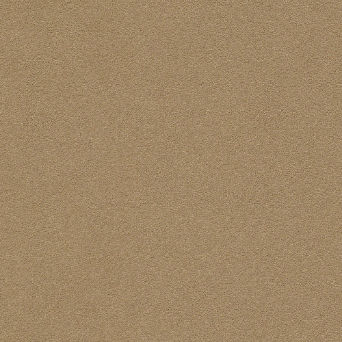 PERFECT CHOICE - Scenery 00736