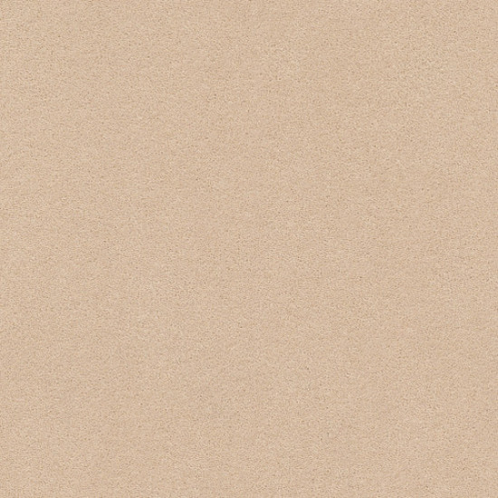 PERFECT CHOICE - Cocoa Sand 00773 PERFECT CHOICE - Cocoa Sand 00773