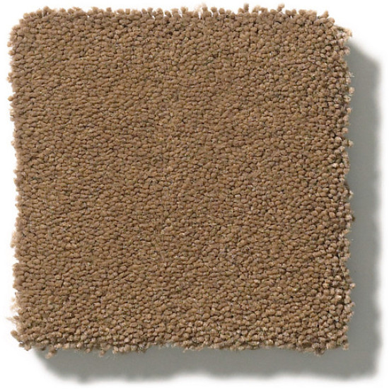 PERFECT CHOICE - Mystic Brown 00775 PERFECT CHOICE - Mystic Brown 00775