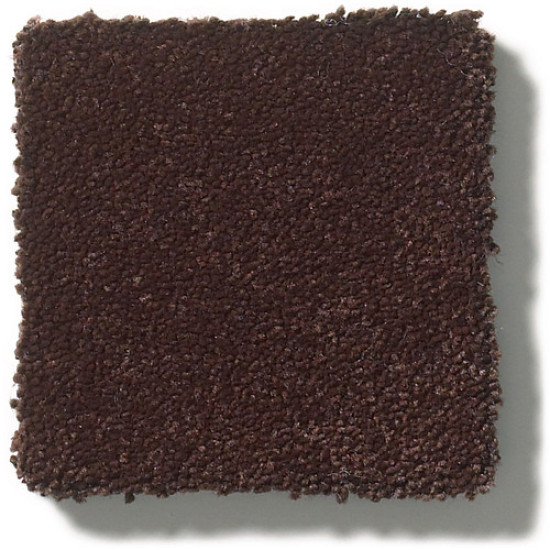 PERFECT CHOICE - Root Beer 00778 PERFECT CHOICE - Root Beer 00778