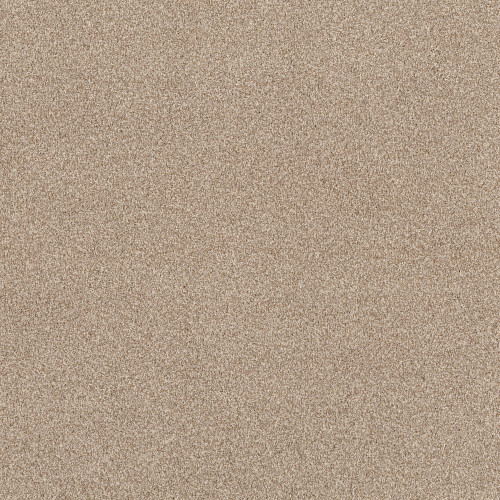 BOSSA NOVA - Beach Grass 00223