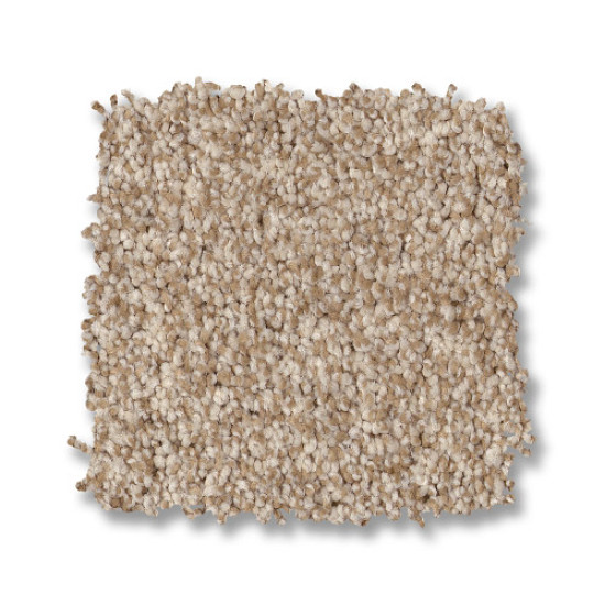 BOSSA NOVA - Beach Grass 00223 BOSSA NOVA - Beach Grass 00223