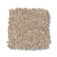 BOSSA NOVA - Beach Grass 00223 BOSSA NOVA - Beach Grass 00223