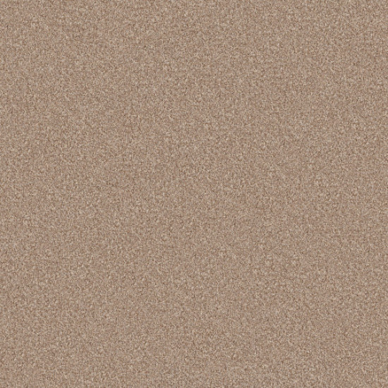 BOSSA NOVA - Potter's Clay 00623
