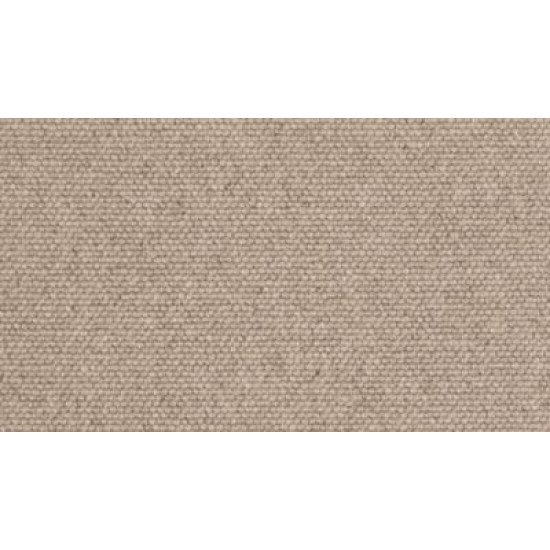 Classic Beauty - Desert Fawn Classic Beauty - Desert Fawn