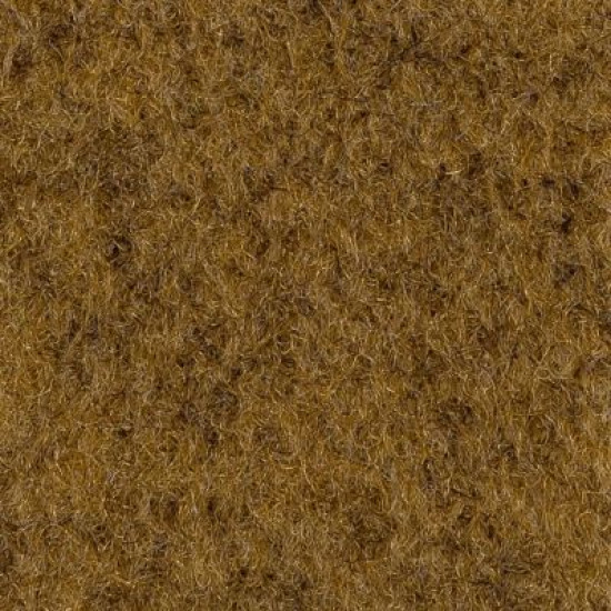 Canosa Bl - Sandy Beach Canosa Bl - Sandy Beach