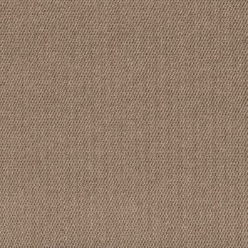 Tortuga II - Camel