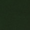 Canoso - Hunter Green