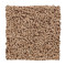 Hb220 - Toasted Seed