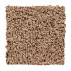 Hb220 - Toasted Seed Hb220 - Toasted Seed